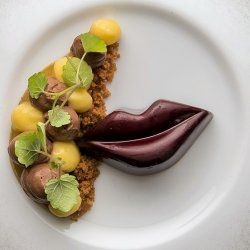 Odoo + afbeelding en tekst