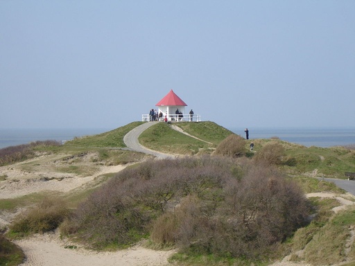 Folien-Bild