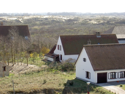Folien-Bild