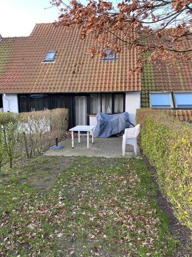 Folien-Bild