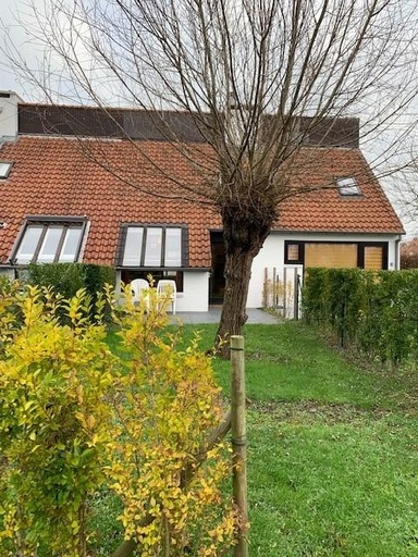 Folien-Bild