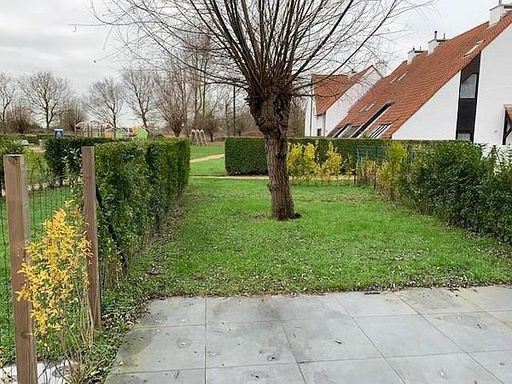 Folien-Bild