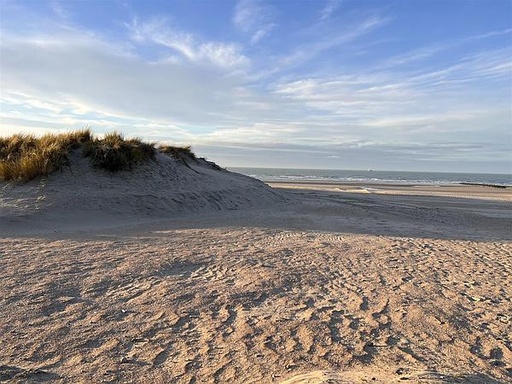 Folien-Bild