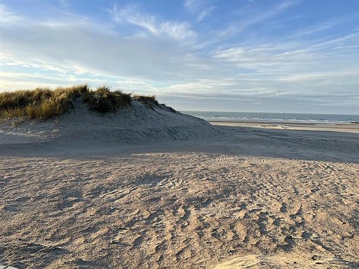 Folien-Bild